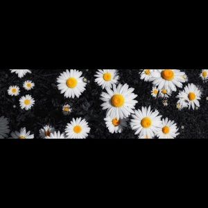 Meet your Posher, Lisbeth